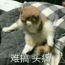 头疼表情包图片.gif