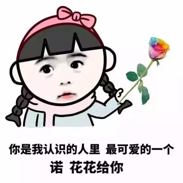 送花花表情包.jpg
