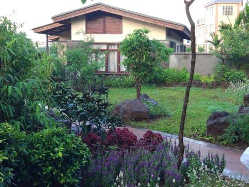 海南民宿 海南民宿